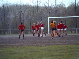 0DIA 1984 RAVA PUPS 1